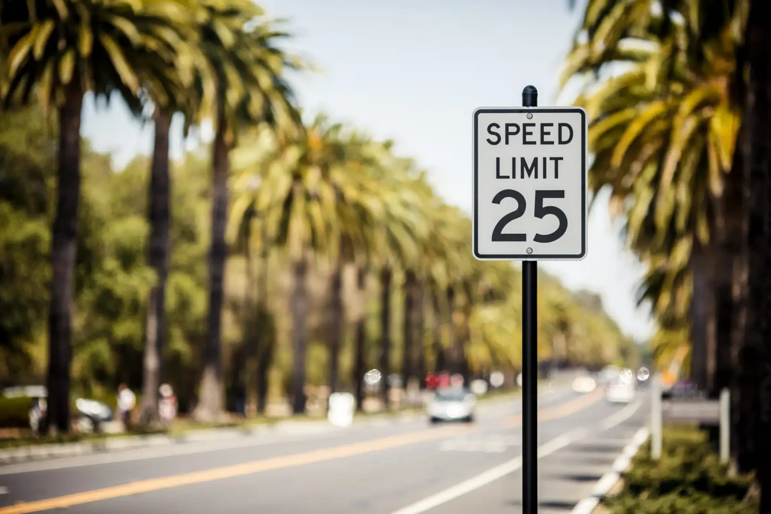 Speed,Limit,25,Sign,On,The,Road,With,Palms,,Usa